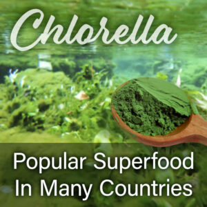 Chlorella Matcha 1.0